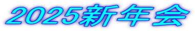 2025VN 